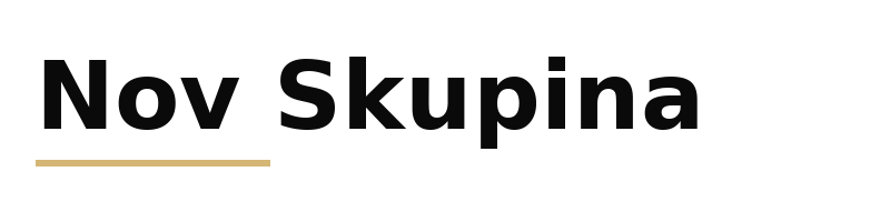 Nov Skupina logo